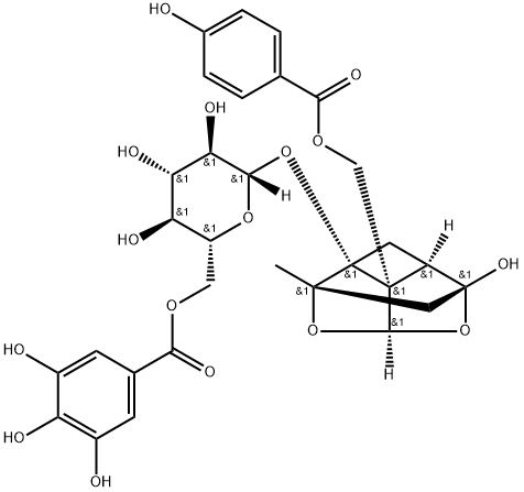 galloyloxypaeoniflorin