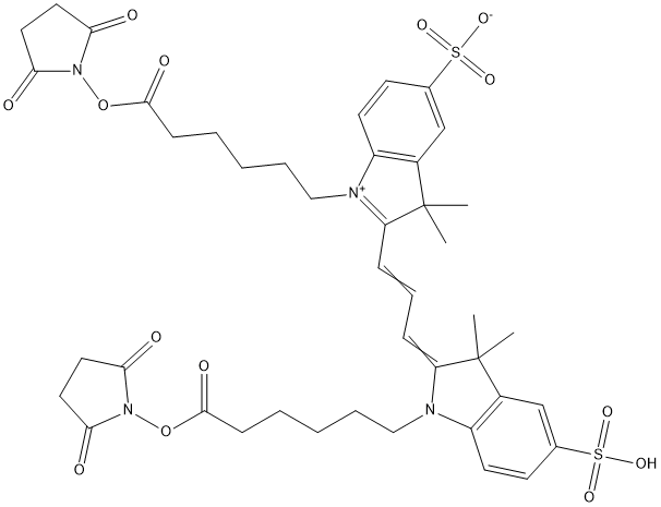 CY3