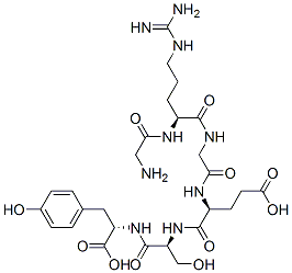 glycyl-arginyl-glycyl-glutamyl-seryl-tyrosine