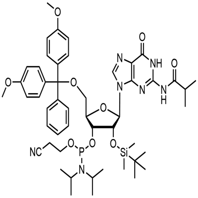 5'-O-(4,4-二甲氧基三苯甲基)-2'-O-[(叔丁基)二甲基硅基]-N-异丁酰基鸟苷-3'-(2-氰基乙基-N,N-二异丙基)亚磷酰胺