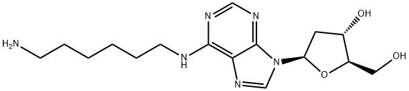 N6-(6-AMINOHEXYL)-2'-DEOXYADENOSINE