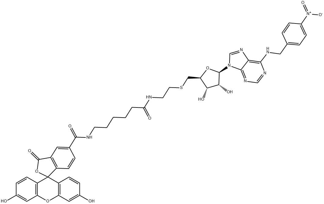 5-(SAENTA-x8)fluorescein