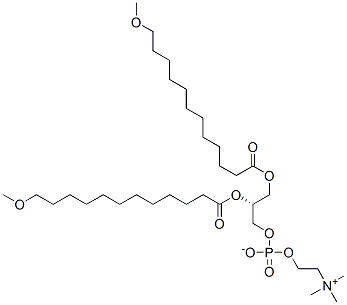 1,2-bis(12-methoxydodecanoyl)-sn-glycero-3-phosphocholine