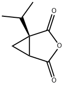 3-Oxabicyclo[3.1.0]hexane-2,4-dione,1-(1-methylethyl)-,(1R)-(9CI)