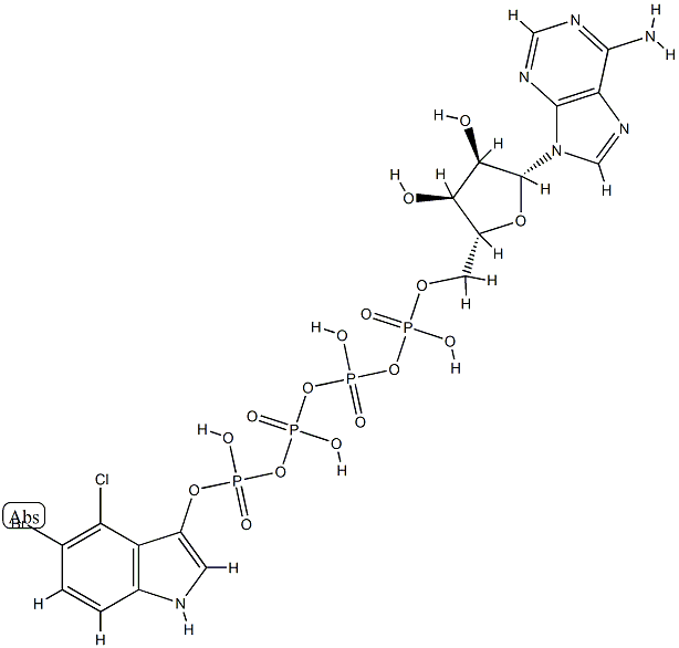 5-bromo-4-chloro-3-indolyltetraphospho-5'-adenosine