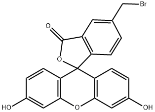 5-溴甲基荧光素