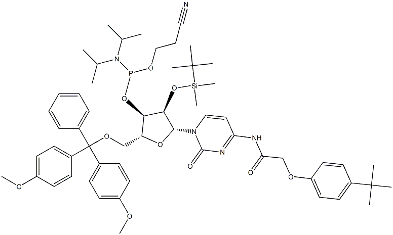 5'-O-(4,4-二甲氧基三苯甲基)-2'-O-[(叔丁基)二甲基硅基]-N-[[4-(叔丁基)苯氧基]乙酰基]胞苷-3'-(2-氰基乙基-N,N-二异丙基)亚磷酰胺