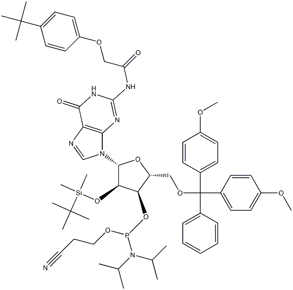 5'-O-(4,4-二甲氧基三苯甲基)-2'-O-[(叔丁基)二甲基硅基]-N-[[4-(叔丁基)苯氧基]乙酰基]鸟苷-3'-(2-氰基乙基-N,N-二异丙基)亚磷酰胺