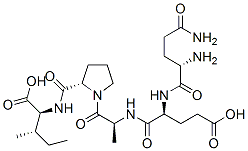 Glutaminyl-glutamyl-alanyl-prolyl-isoleucine