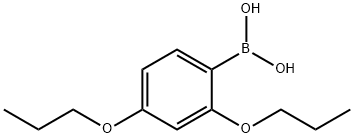 2,4-二丙氧基苯硼酸