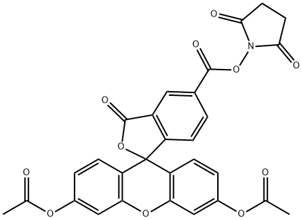 5-羧基二乙酰化荧光素琥珀酰亚胺酯