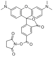 5(6)-羧基四甲基罗丹明琥珀酰亚胺酯