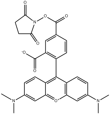 5-羧基四甲基罗丹明琥珀酰亚胺酯