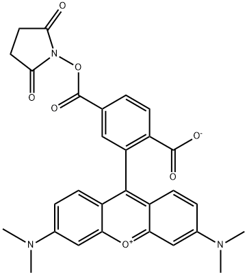 6-羧基四甲基罗丹明琥珀酰亚胺酯