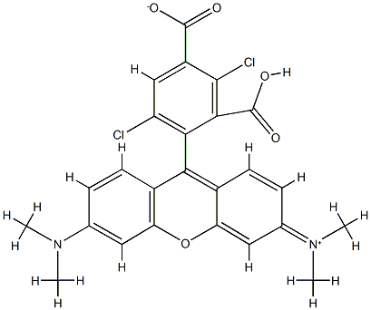 9-(2,4-二羧基-3,6-二氯苯基)-3,6-二(二甲基氨基)吨内盐