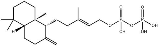 9,10-Syn-cPP