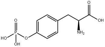 L-磷酸酪氨酸