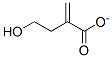 hydroxymethylmethacrylate