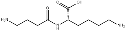 gamma-Aminobutyryl-lysine