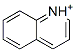 Quinolinium