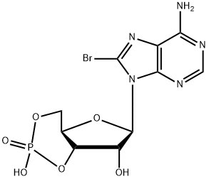 8-溴腺苷-3',5'-环单磷酸