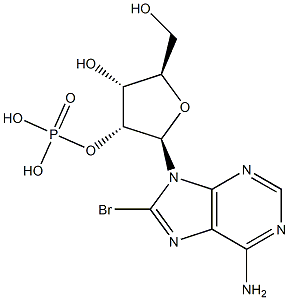 8-bromo-2'-AMP