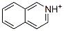 Isoquinolinium