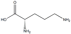 polyornithine