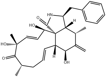 ZYGOSPORIND