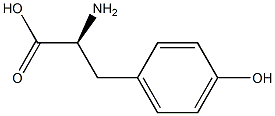 L-酪氨酸聚合物