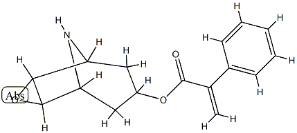 Aponorhyoscine