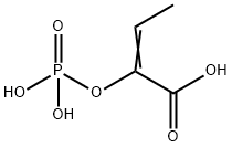 phosphoenol-2-ketobutyrate