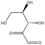 L-木酮糖