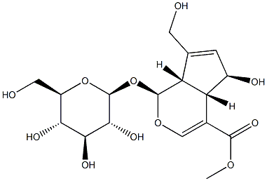 鸡矢藤次苷甲酯