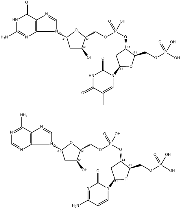 poly(dT-dG)n.poly(dC-dA)n