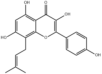 8-异戊烯基山奈酚