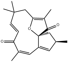 Jatrophone