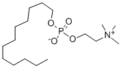 FOS-维生素B-12