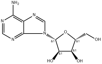 polyadenosine