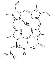 MAGNESIUMCHLOROPHYLLIN