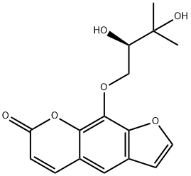 白芷属脑