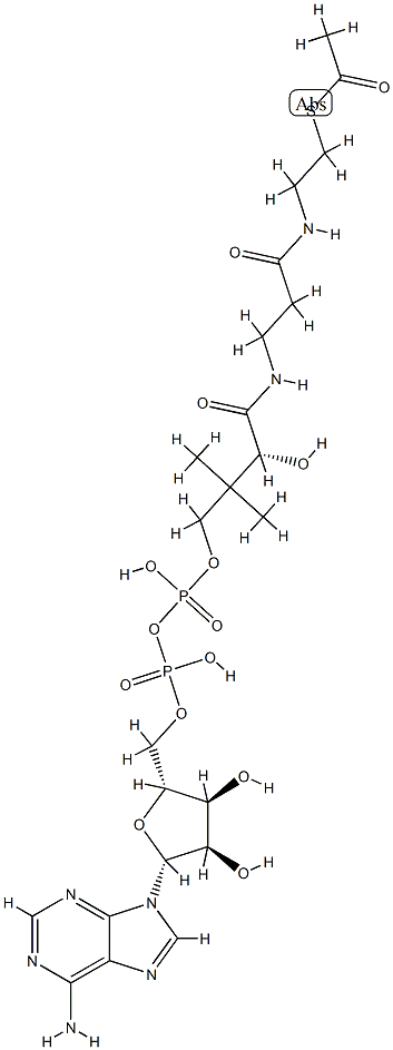 acetyl-dephospho-CoA