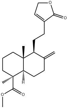 红松内酯