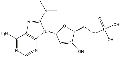 8-dimethylamino-cAMP