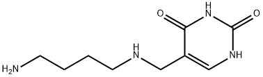 alpha-putrescinylthymine