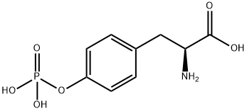 O-PHOSPHO-DL-TYROSINE)