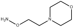 O-(2-Morpholin-4-yl-ethyl)-hydroxylaMine