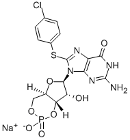 8-(4-硫代氯苯基)鸟苷3′,5′-(环状)单磷酸盐固体