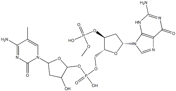 poly(dG-m(5)dC).poly(dG-m(5)dC)