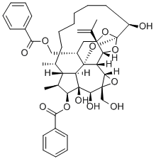 gnidimacrin